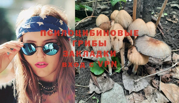 тгк Абинск