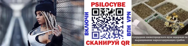 наркотики  Адыгейск  Галлюциногенные грибы Psilocybe 