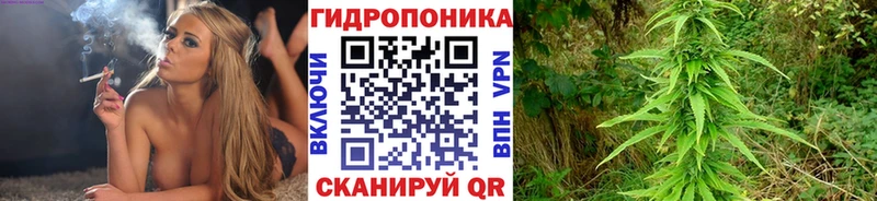 Шишки марихуана SATIVA & INDICA где найти наркотики Адыгейск